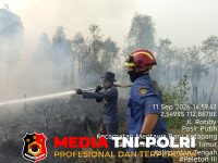 Karhutla - Lima Titik Karhutla Terjadi di Sampit, Damkarmat Kotim Bergerak Cepat Padamkan Api