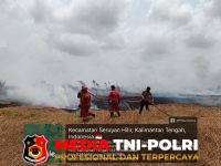 Karhutla - Respons Cepat Personel Siaga Karhutla, Api di Jalan Cilik Riwut Berhasil Dipadamkan