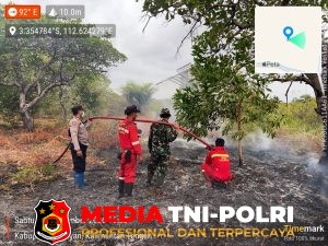Koordinasi Cepat, Titik Api di Pematang Kambat Berhasil Dipadamkan Tim Gabungan