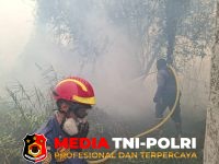 Karhutla - Tiga Titik Karhutla di Sampit Dipadamkan, Total Area Terbakar Capai 4 Hektare