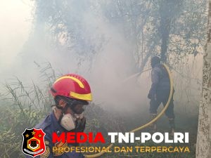 Tiga Titik Karhutla di Sampit Dipadamkan, Total Area Terbakar Capai 4 Hektare