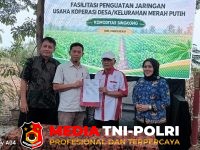 Fasilitasi Penguatan - Fasilitasi Penguatan Jaringan Usaha KDKMP Komoditas Singkong Di Pringsewu Resmi Ditutup