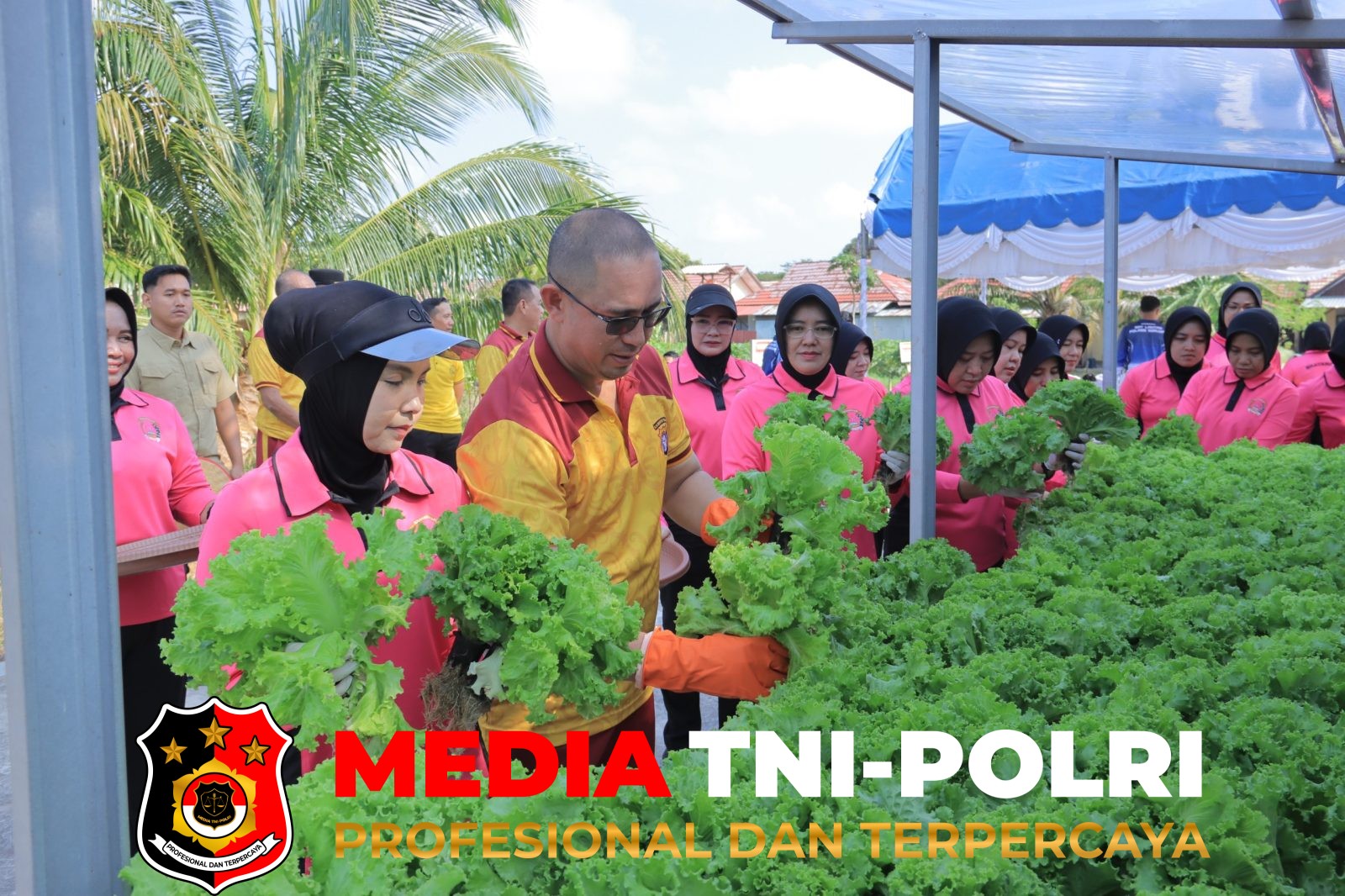 Pekarangan Pangan - Dari Pekarangan Jadi Pangan, Kapolres Seruyan Panen Hidroponik dan Ikan untuk Masyarakat