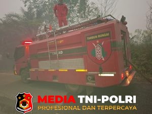 Lahan Semak Belukar Seluas 3 Hektare Terbakar di Jalan Sawit Raya Sampit