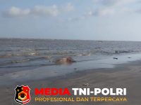 Mayat Mengenakan - Mayat Mengenakan Pelampung Ditemukan Terdampar di Pantai Sungai Perlu, Tim Gabungan Bergerak ke Lokasi