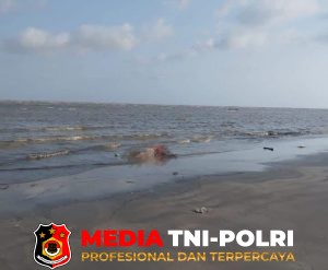 Mayat Mengenakan Pelampung Ditemukan Terdampar di Pantai Sungai Perlu, Tim Gabungan Bergerak ke Lokasi