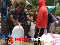 Babinsa - Panen Padi Tiba, Babinsa Ngrombo Ikut Turun Sawah Dampingi Petani Sukarmin