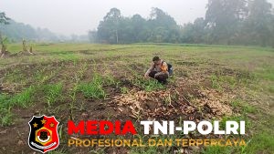 Bhabinkamtibmas Polsek Menyuke Lakukan Pengecekan Tanaman Jagung Serentak Kuartal II Ta 2026