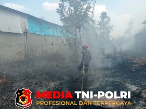 Dalam Sehari, Damkarmat Kotim Tangani Tiga Kebakaran, Dua di Antaranya Kebakaran Lahan