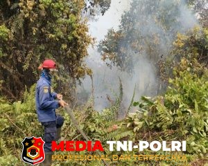 Dua Kebakaran Lahan Terjadi di Baamang, Damkar Kotim Bergerak Cepat