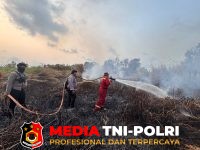 Karhutla - Gerak Cepat,14 Personel Gabungan Tangani Karhutla di Kuala Pembuang II