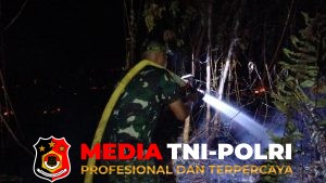 Tak Kenal Waktu, Komandan Kodim 1015/Sampit Pimpin Padamkan Api Karhutla.