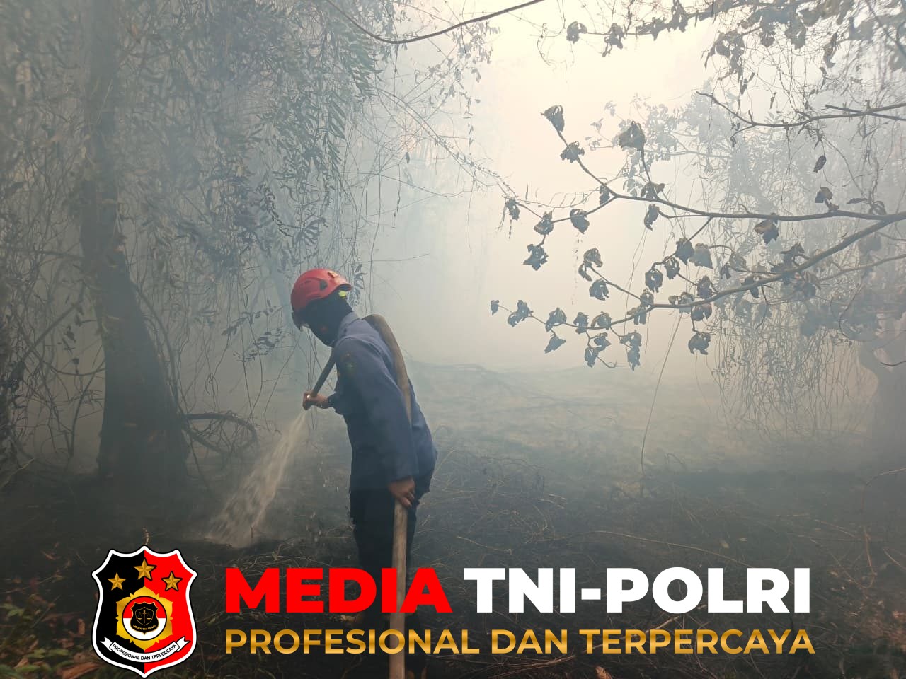Karhutla - Lima Titik Karhutla Terjadi di Sampit, Petugas Damkarmat dan Posko Gabungan Bergerak Cepat