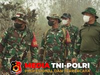 Karhutla - Pangdam XXII/Tambun Bungai Tinjau Langsung Penanganan Karhutla di TWA Galeget Tiawu
