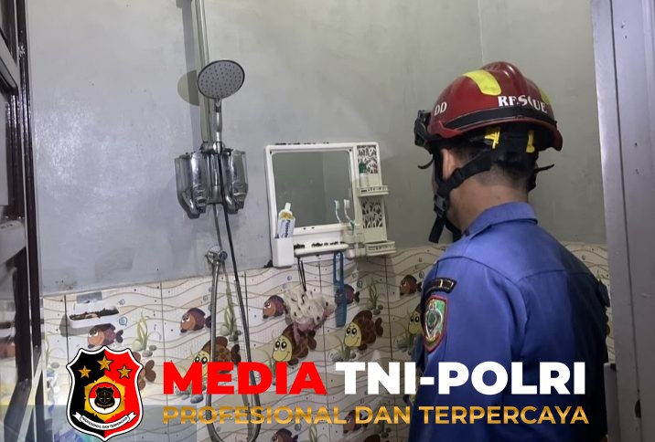 Lebah Bersarang - Lebah Bersarang di Kamar Mandi Warga, Damkarmat Kotim Bergerak Cepat Melakukan Evakuasi