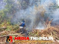 Karhutla - Dua Hari Berturut-turut, Karhutla di Ujung Pandaran Capai 4 Hektare