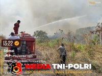 Karhutla - Respons Cepat, 20 Personel Gabungan Padamkan Karhutla 4 Hektare di Kuala Pembuang II