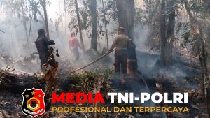 Medan Sulit Dilalui, Tim Gabungan Pastikan Titik Api di Tumbang Manjul Padam Total