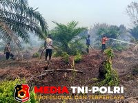 Hektar Hutan - Tiga Hektar Hutan dan Semak Belukar di Samuda Terbakar, Damkarmat Kotim Bergerak Cepat