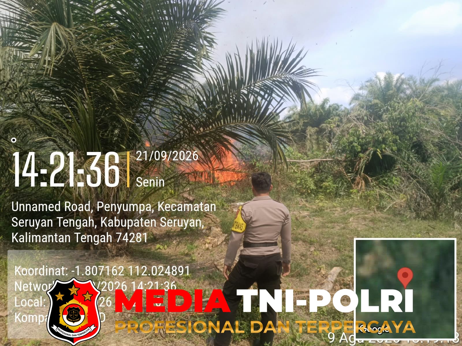 Hotspot Terdeteksi - Hotspot Terdeteksi di Penyompa, 5 Hektare Lahan Terbakar Berhasil Dipadamkan