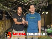 BKSDA Resort - BKSDA Resort Sampit Terima Seekor Anak Kucing Hutan dari Warga