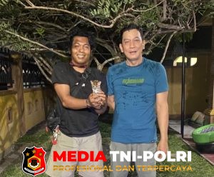 BKSDA Resort Sampit Terima Seekor Anak Kucing Hutan dari Warga
