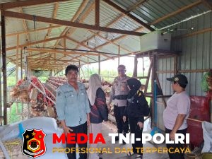 Dukung Ketahanan Pangan, Bhabinkamtibmas Pematang Limau Dampingi Pemeriksaan Kesehatan Ayam Petelur