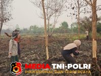 BKSDA Resort - BKSDA Resort Sampit Telusuri Laporan Kemunculan Orangutan di Lingkar Selatan