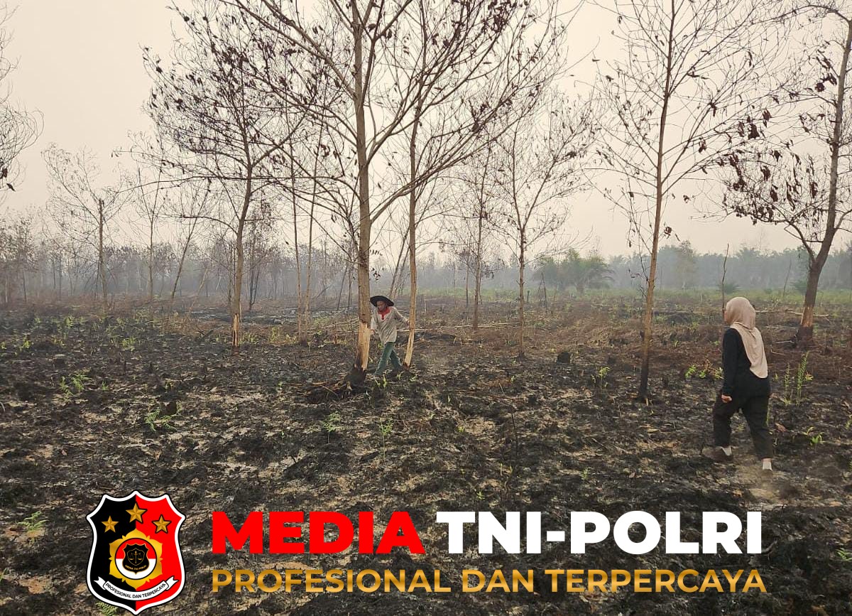BKSDA Resort - BKSDA Resort Sampit Telusuri Laporan Kemunculan Orangutan di Lingkar Selatan
