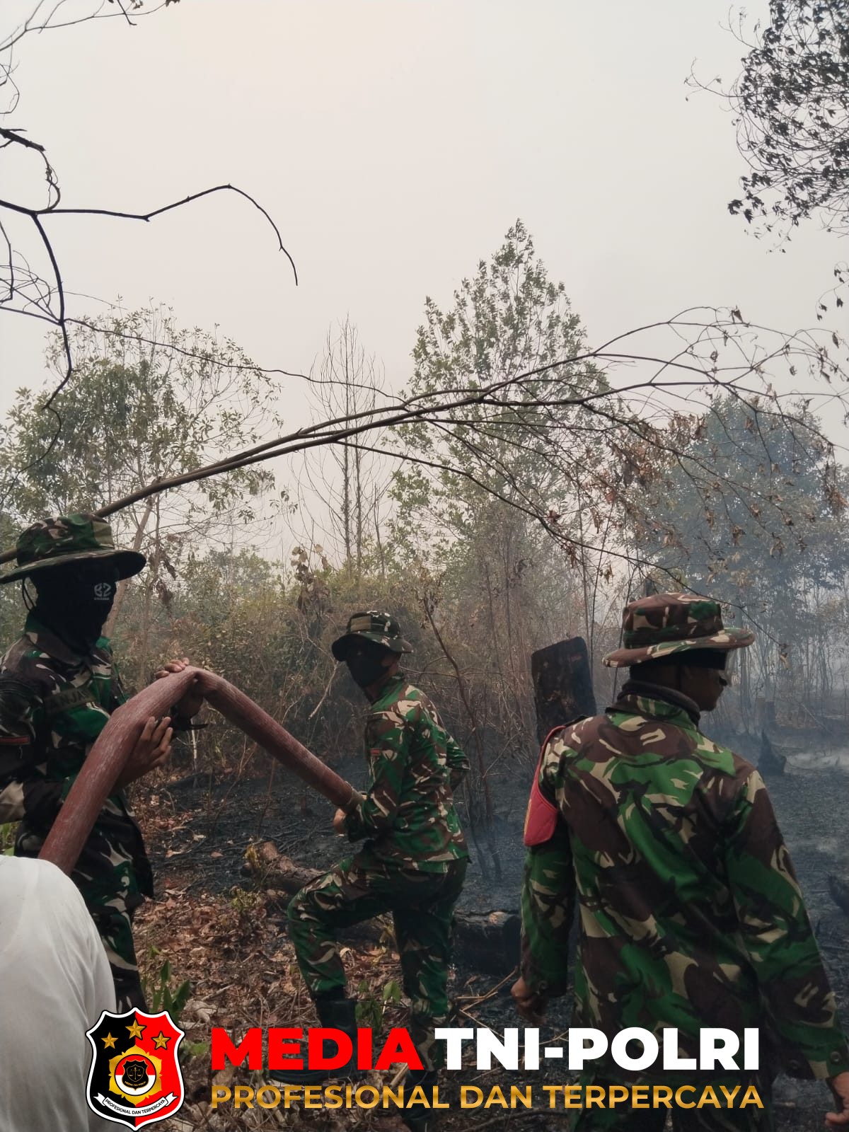 Karhutla - Sinergi TNI dan Tim Gabungan, Karhutla di Perigi Kayuagung Berhasil Dipadamkan