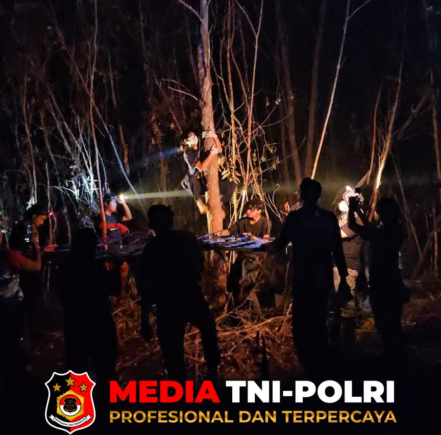 Karhutla - BKSDA dan OFI Evakuasi Orangutan di Bekas Lokasi Karhutla Sampit
