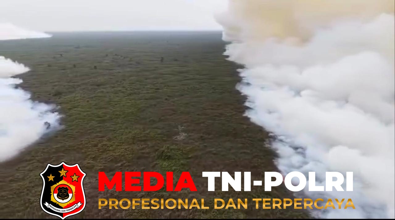 Karhutla - Karhutla di Taman Nasional Tanjung Puting Capai 52 Ribu Hektare, Kualitas Udara Pangkalan Bun Memburuk