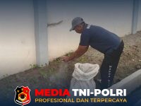 Optimalkan Kesuburan - Optimalkan Kesuburan Lahan dan Hasil Panen, WBP Lapas Sampit Lakukan Pemupukan Rutin