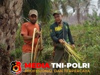 BKSDA Resort - BKSDA Resort Sampit Observasi Lokasi Kemunculan Orangutan di Desa Bagendang Hilir