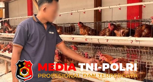 Perkuat Kemandirian - Perkuat Kemandirian Pangan dan Keterampilan WBP, Lapas Sampit Kembangkan Budidaya Ayam Petelur