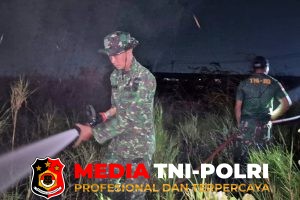 Gerak Cepat Prajurit Kodim 1707/Merauke Bersama sama Padamkan Kebakaran Lahan di Wilayah Kelurahan Samkai