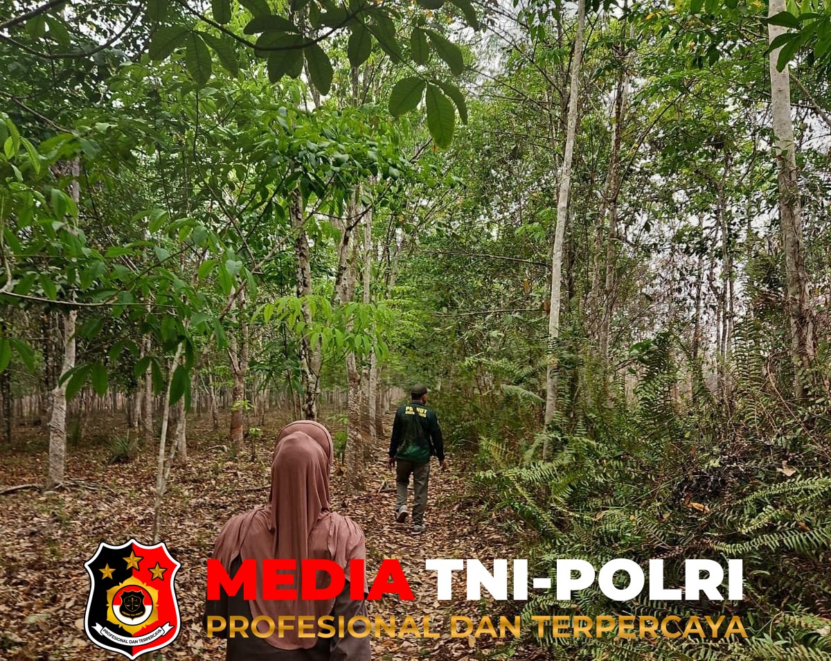 BKSDA Resort - BKSDA Resort Sampit Patroli Dua Lokasi Kemunculan Orangutan, Temukan Sarang Baru dan Bekas Pakan