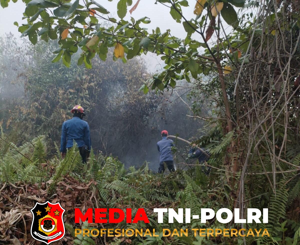 Kebakaran Lahan - Kebakaran Lahan dan Semak Belukar di Baamang Hulu, Damkarmat Kotim Lakukan Pemadaman