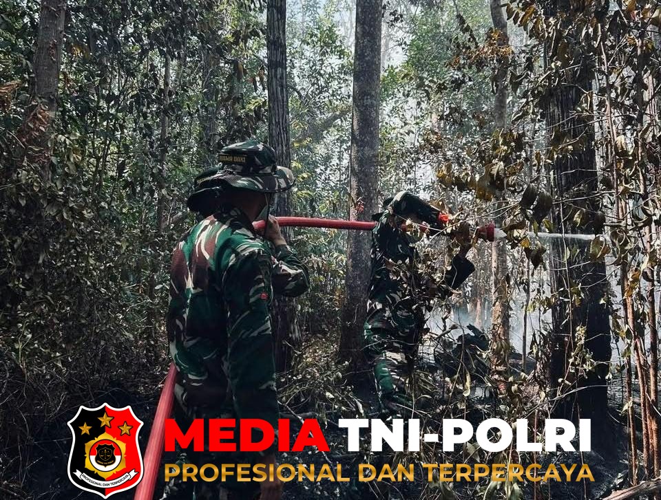 Kodim 1015/Sampit - Cegah Api Merambat, Sinergi Personel Kodim 1015/Sampit dan Petugas TNTP Padamkan Api Akibat Karhutla di Kawasan TNTP wilayah Kab. Seruyan