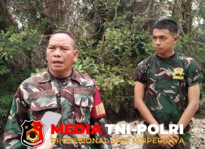 Kolaborasi Prajurit TNI dan PT RMU Padamkan Karhutla di Desa Rawasari, Tempuh Perjalanan hingga Dua Hari Satu Malam