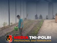 Lahan Tidur - Lahan Tidur Jadi Kebun Produktif, Lapas Sampit Bekali WBP Keterampilan Bertani