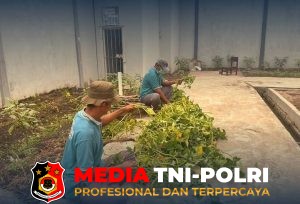 Panen 51 Kilogram Kangkung, Lapas Sampit Perkuat Ketahanan Pangan dan Pembinaan WBP