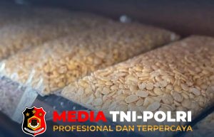 Asah Kemandirian, Warga Binaan Lapas Sampit Produktif Mengolah Kedelai Menjadi Tempe
