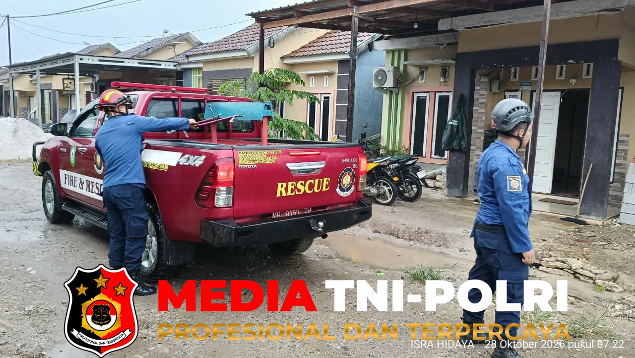 Ular Sanca - Ular Sanca Darah Borneo Masuk ke Dapur Rumah Warga, Damkarmat Kotim Lakukan Evakuasi