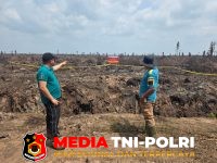 Jangan Berhenti - Jangan Berhenti di Plang Segel, Menhut Didesak Bongkar Kasus Best Agro Kawasan Hutan