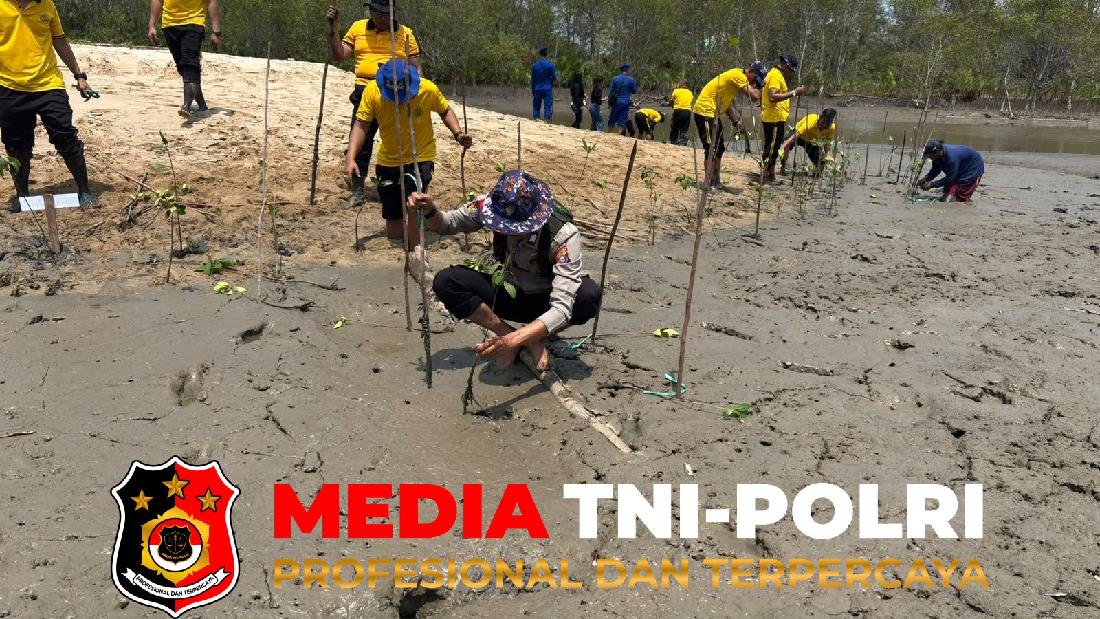 Polres Seruyan - Jaga Kelestarian Pesisir Sungai Bakau, Satpolairud Polres Seruyan Bersama Ditpolairud Polda Kalteng Tanam Mangrove